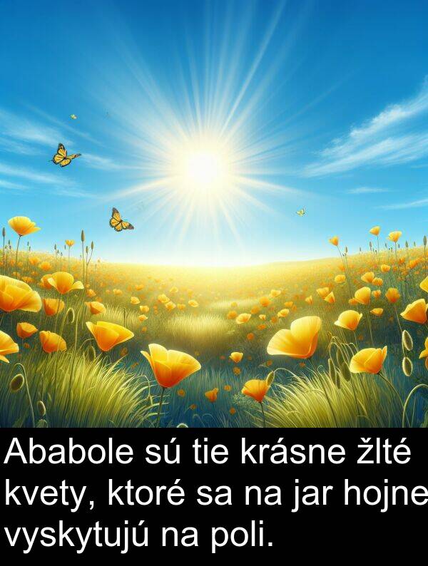 jar: Ababole sú tie krásne žlté kvety, ktoré sa na jar hojne vyskytujú na poli.