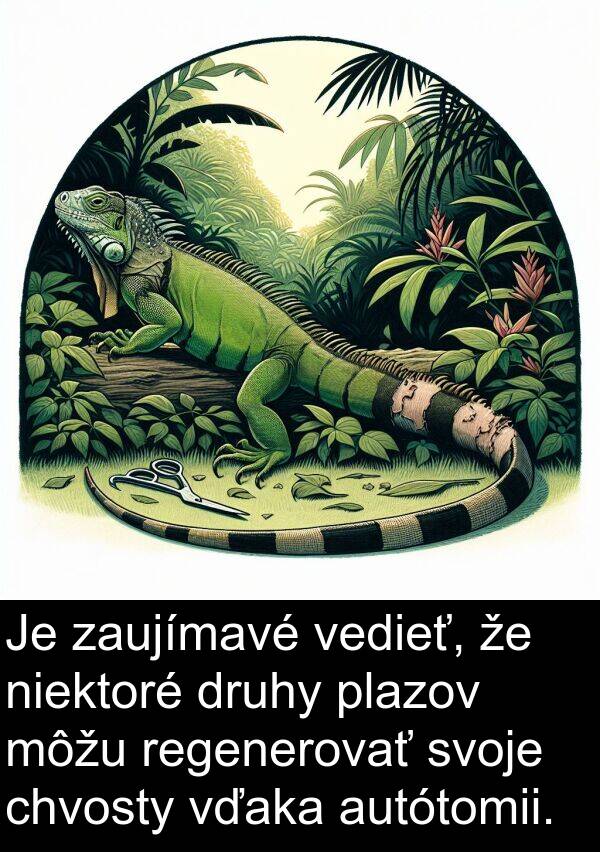 vďaka: Je zaujímavé vedieť, že niektoré druhy plazov môžu regenerovať svoje chvosty vďaka autótomii.