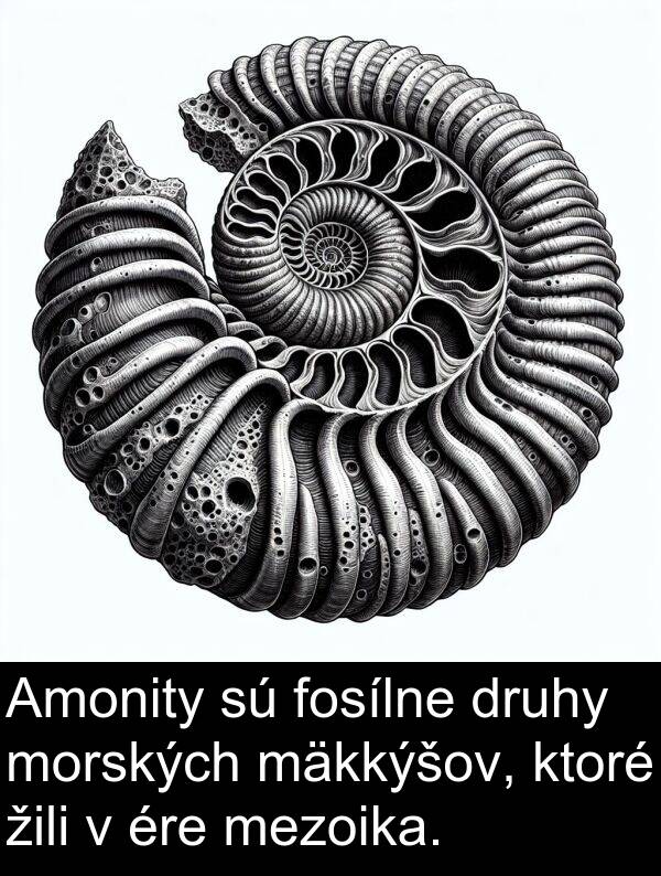 fosílne: Amonity sú fosílne druhy morských mäkkýšov, ktoré žili v ére mezoika.
