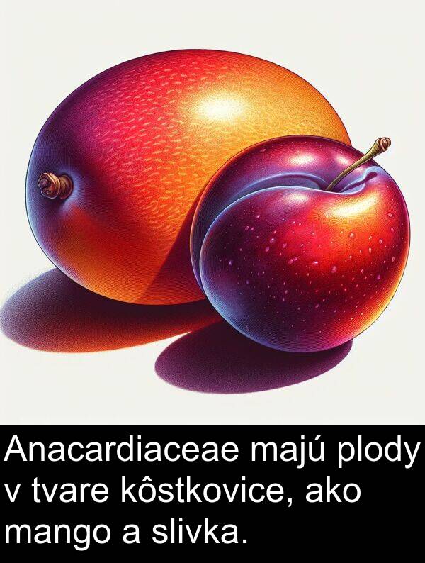 slivka: Anacardiaceae majú plody v tvare kôstkovice, ako mango a slivka.