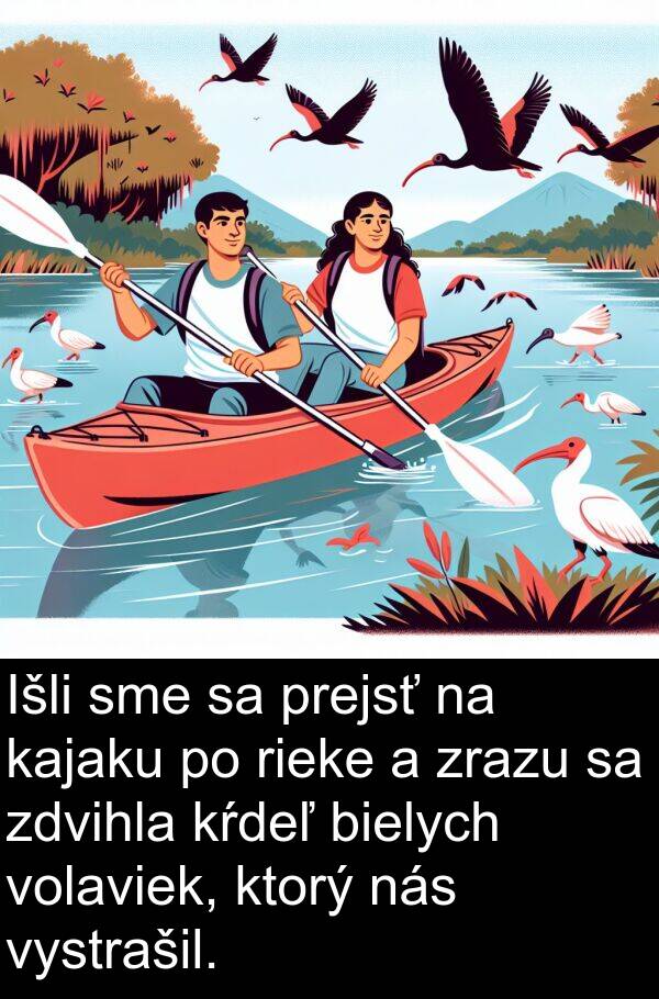 kajaku: Išli sme sa prejsť na kajaku po rieke a zrazu sa zdvihla kŕdeľ bielych volaviek, ktorý nás vystrašil.