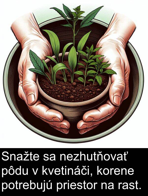rast: Snažte sa nezhutňovať pôdu v kvetináči, korene potrebujú priestor na rast.