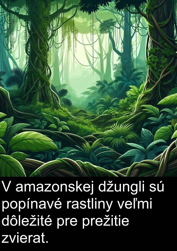 rastliny: V amazonskej džungli sú popínavé rastliny veľmi dôležité pre prežitie zvierat.