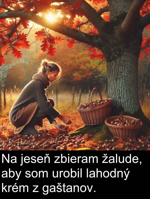 lahodný: Na jeseň zbieram žalude, aby som urobil lahodný krém z gaštanov.