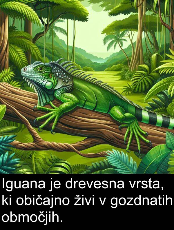 običajno: Iguana je drevesna vrsta, ki običajno živi v gozdnatih območjih.