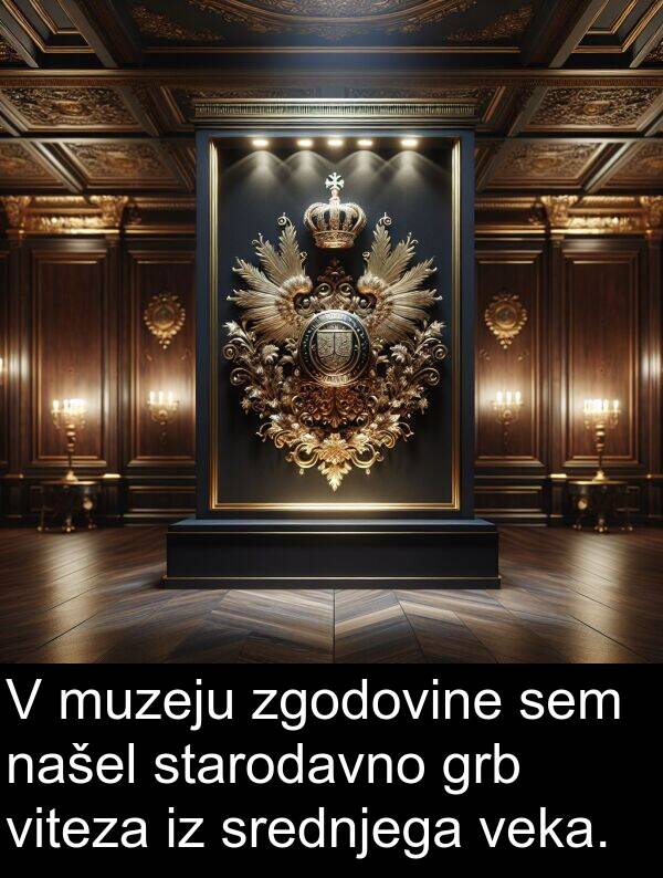 zgodovine: V muzeju zgodovine sem našel starodavno grb viteza iz srednjega veka.