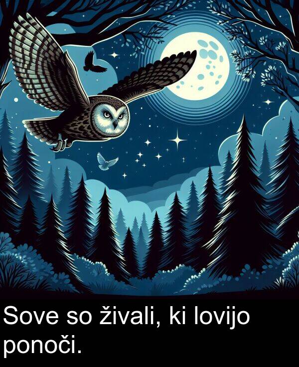 lovijo: Sove so živali, ki lovijo ponoči.