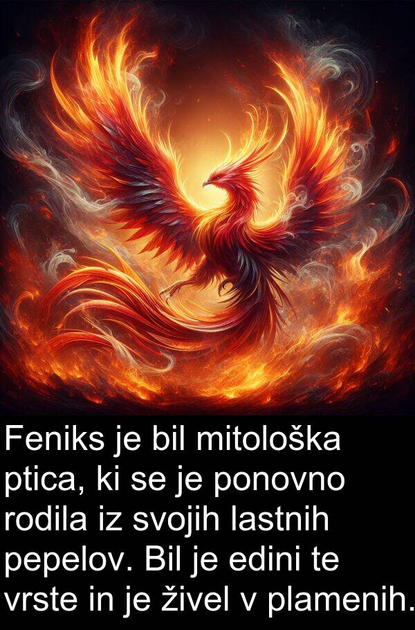 lastnih: Feniks je bil mitološka ptica, ki se je ponovno rodila iz svojih lastnih pepelov. Bil je edini te vrste in je živel v plamenih.