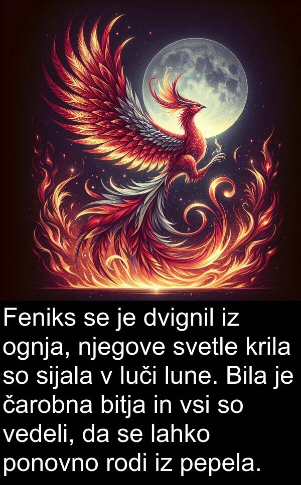 sijala: Feniks se je dvignil iz ognja, njegove svetle krila so sijala v luči lune. Bila je čarobna bitja in vsi so vedeli, da se lahko ponovno rodi iz pepela.