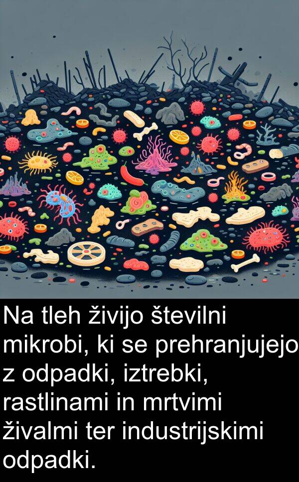 živijo: Na tleh živijo številni mikrobi, ki se prehranjujejo z odpadki, iztrebki, rastlinami in mrtvimi živalmi ter industrijskimi odpadki.
