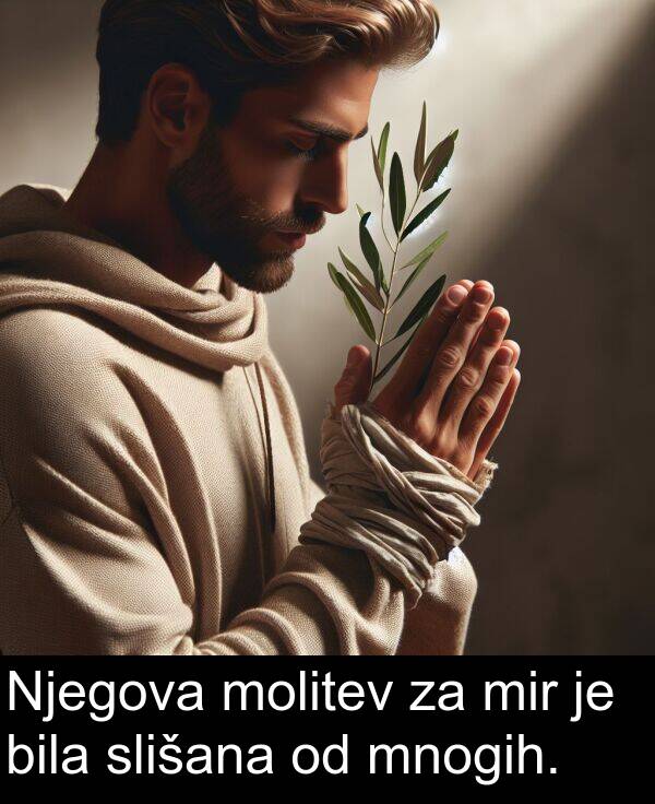 molitev: Njegova molitev za mir je bila slišana od mnogih.
