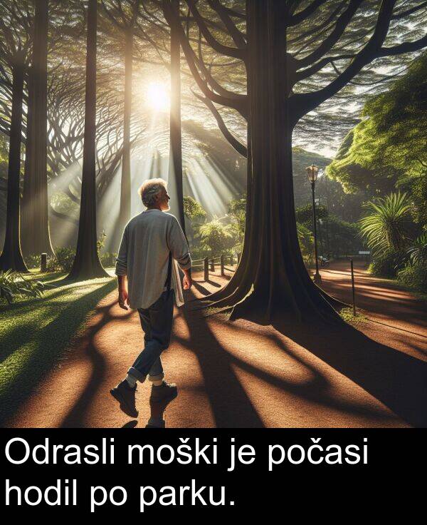 parku: Odrasli moški je počasi hodil po parku.