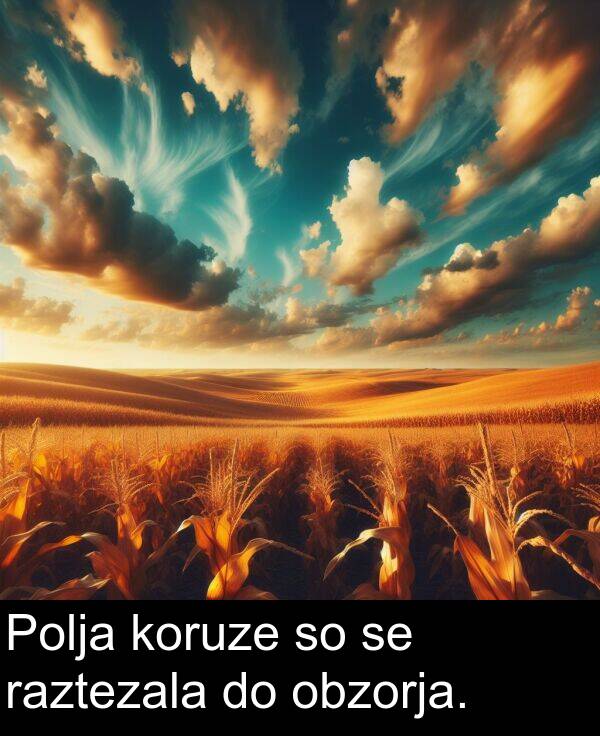 koruze: Polja koruze so se raztezala do obzorja.