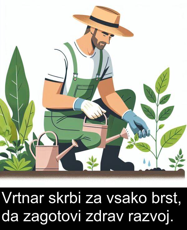 zagotovi: Vrtnar skrbi za vsako brst, da zagotovi zdrav razvoj.