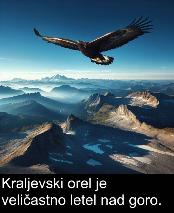 nad: Kraljevski orel je veličastno letel nad goro.