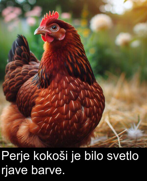 barve: Perje kokoši je bilo svetlo rjave barve.
