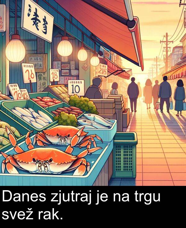 svež: Danes zjutraj je na trgu svež rak.