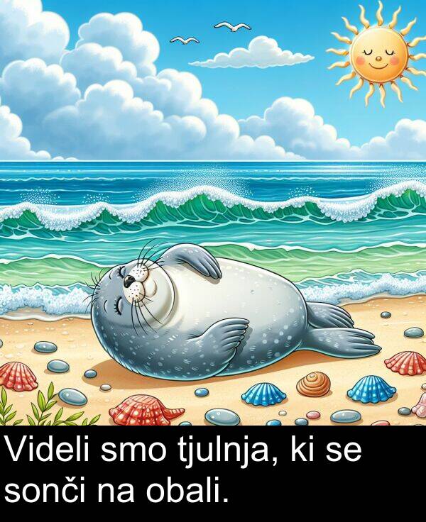 obali: Videli smo tjulnja, ki se sonči na obali.
