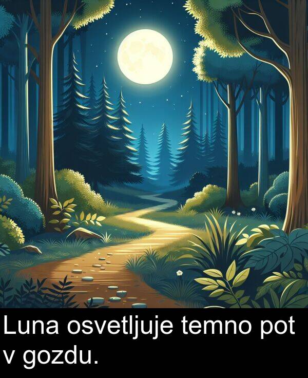 pot: Luna osvetljuje temno pot v gozdu.