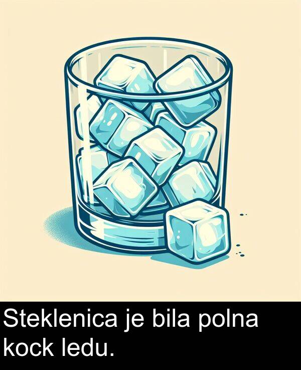 bila: Steklenica je bila polna kock ledu.