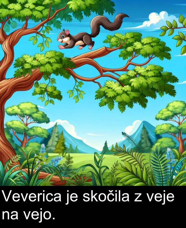 vejo: Veverica je skočila z veje na vejo.