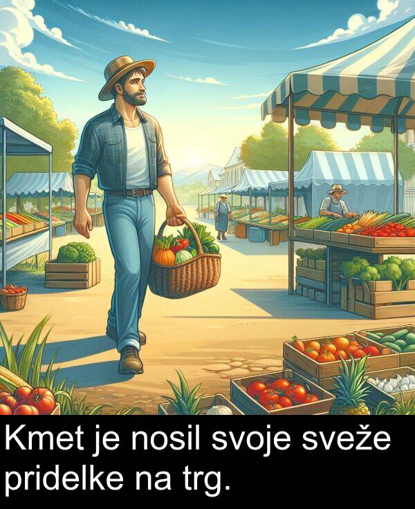 nosil: Kmet je nosil svoje sveže pridelke na trg.