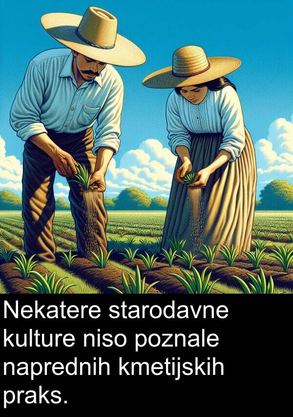 naprednih: Nekatere starodavne kulture niso poznale naprednih kmetijskih praks.