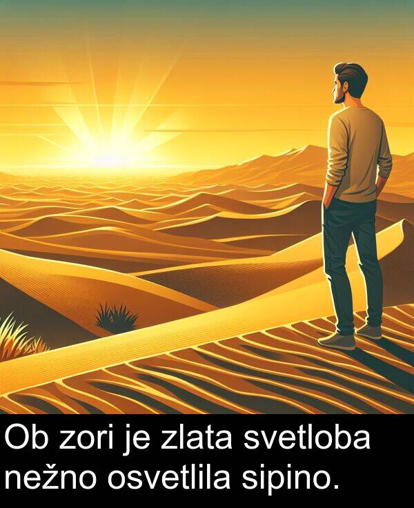 sipino: Ob zori je zlata svetloba nežno osvetlila sipino.