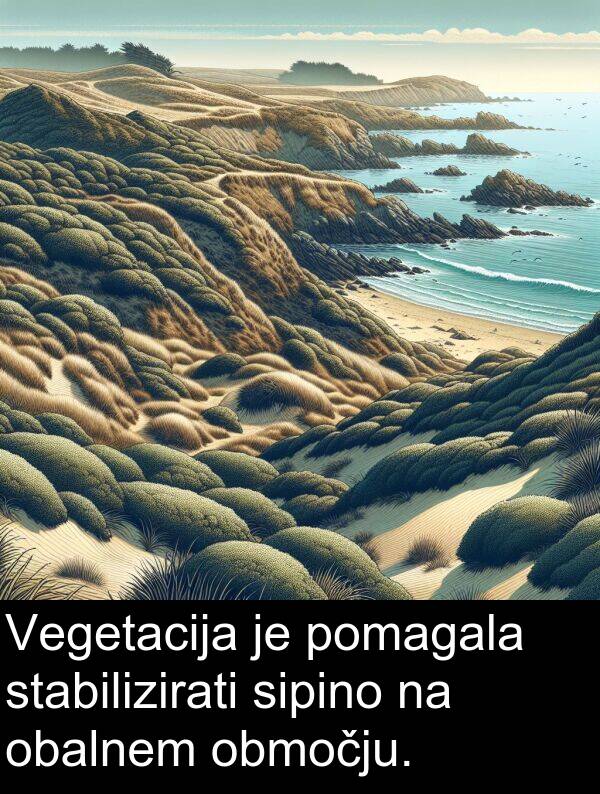 obalnem: Vegetacija je pomagala stabilizirati sipino na obalnem območju.