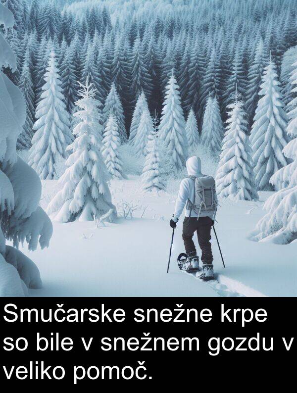bile: Smučarske snežne krpe so bile v snežnem gozdu v veliko pomoč.