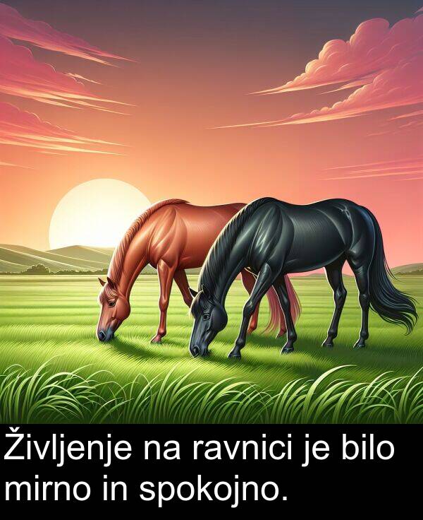 ravnici: Življenje na ravnici je bilo mirno in spokojno.