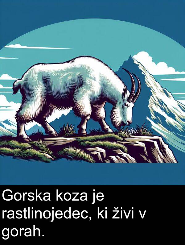 živi: Gorska koza je rastlinojedec, ki živi v gorah.