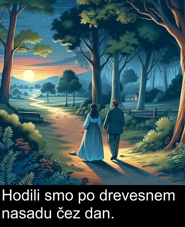 čez: Hodili smo po drevesnem nasadu čez dan.