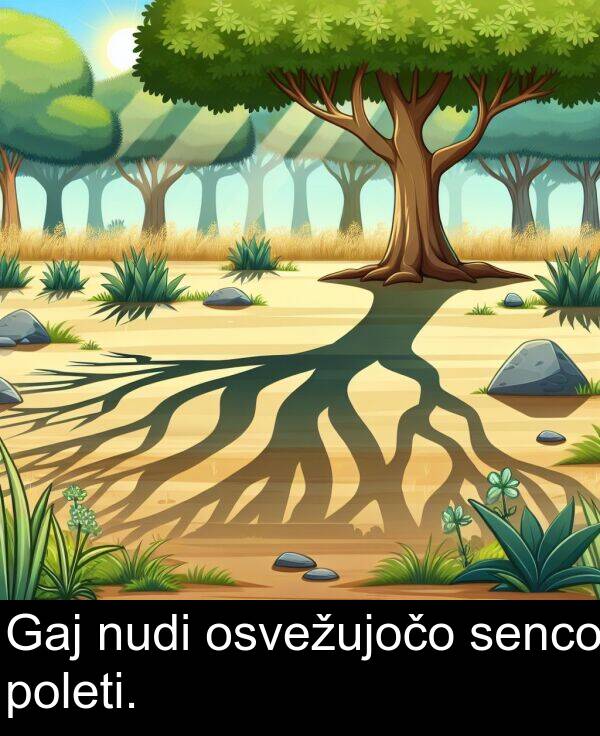 poleti: Gaj nudi osvežujočo senco poleti.
