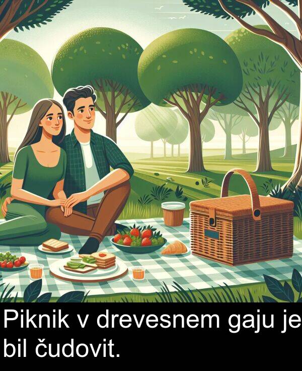 gaju: Piknik v drevesnem gaju je bil čudovit.