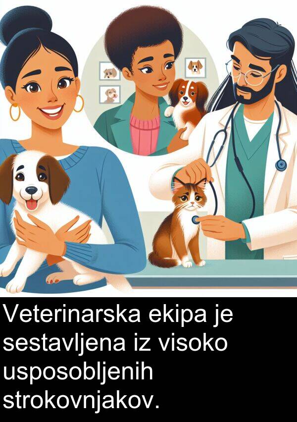 ekipa: Veterinarska ekipa je sestavljena iz visoko usposobljenih strokovnjakov.