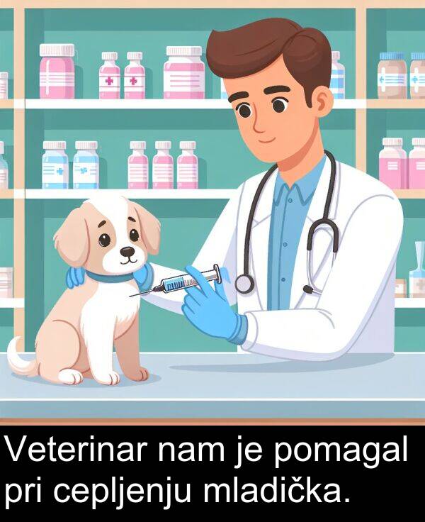 nam: Veterinar nam je pomagal pri cepljenju mladička.