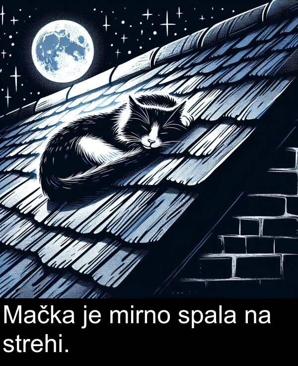 spala: Mačka je mirno spala na strehi.