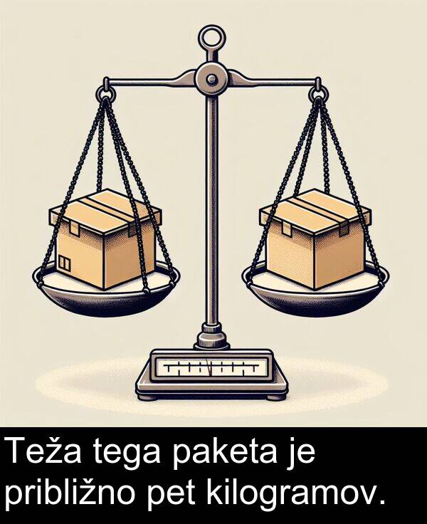 paketa: Teža tega paketa je približno pet kilogramov.