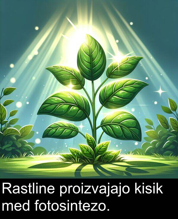kisik: Rastline proizvajajo kisik med fotosintezo.