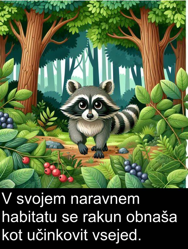 habitatu: V svojem naravnem habitatu se rakun obnaša kot učinkovit vsejed.