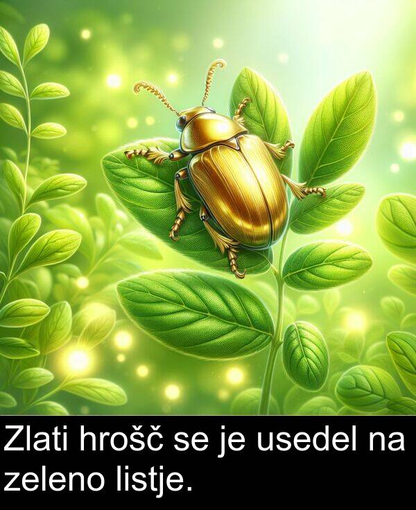 zeleno: Zlati hrošč se je usedel na zeleno listje.