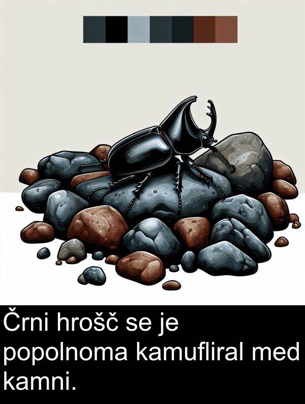 kamni: Črni hrošč se je popolnoma kamufliral med kamni.