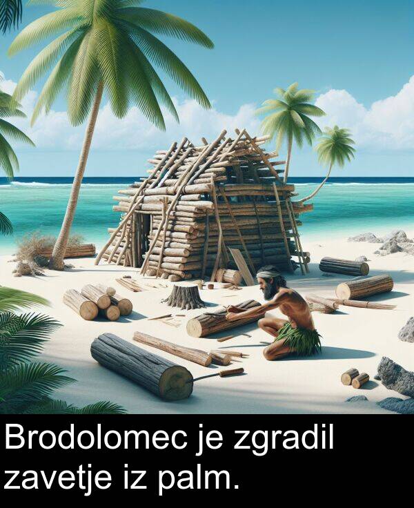 palm: Brodolomec je zgradil zavetje iz palm.
