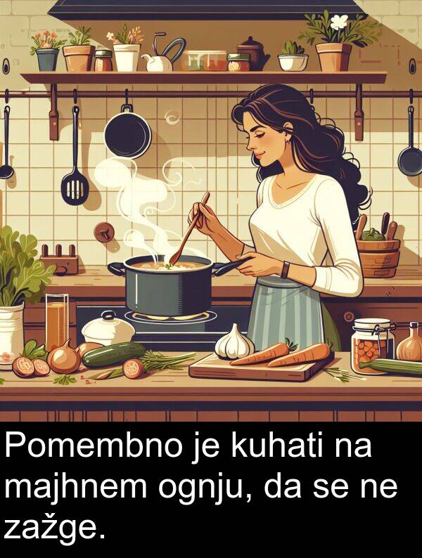 majhnem: Pomembno je kuhati na majhnem ognju, da se ne zažge.