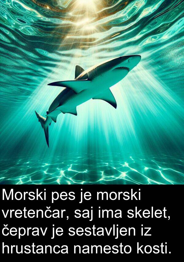 čeprav: Morski pes je morski vretenčar, saj ima skelet, čeprav je sestavljen iz hrustanca namesto kosti.
