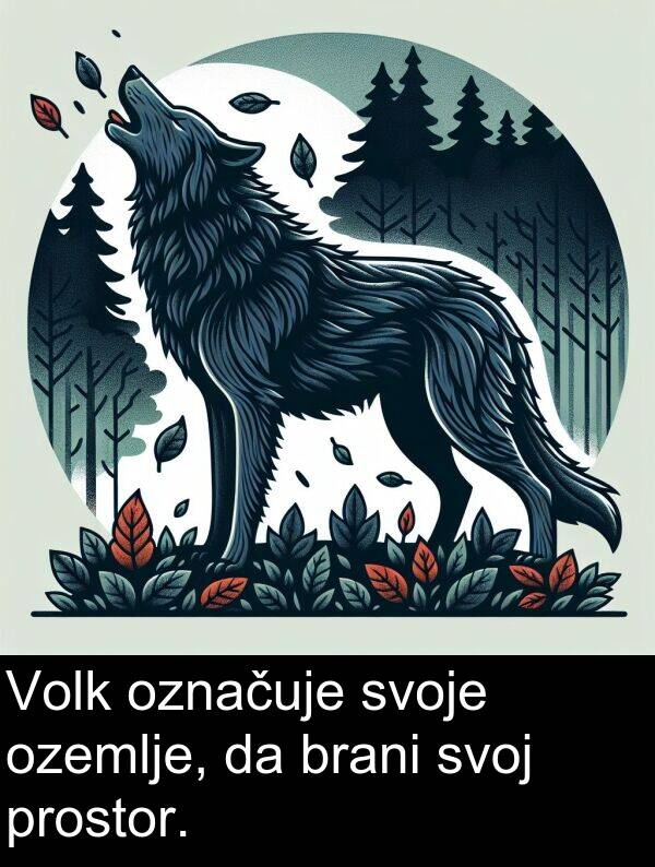 ozemlje: Volk označuje svoje ozemlje, da brani svoj prostor.