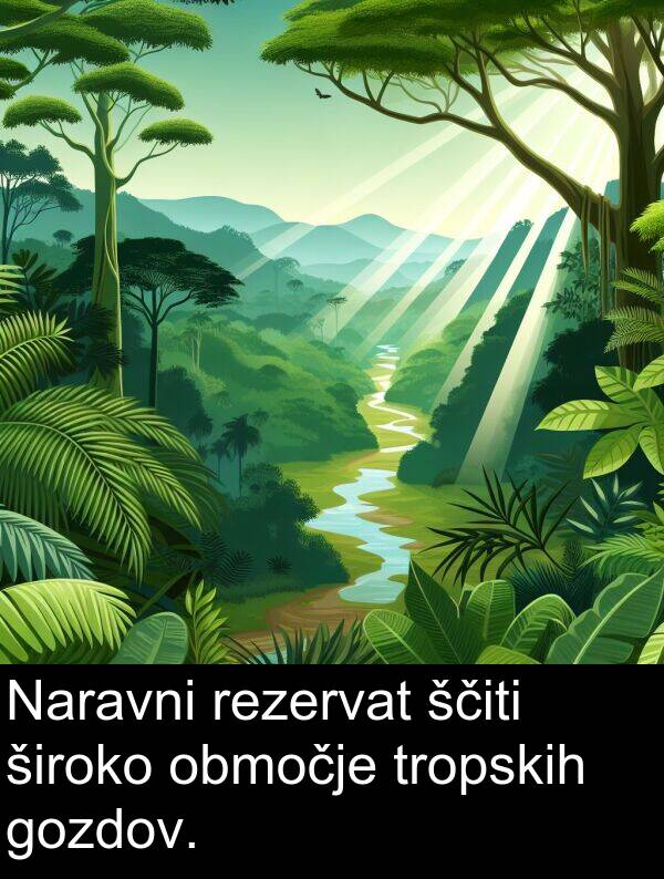 široko: Naravni rezervat ščiti široko območje tropskih gozdov.
