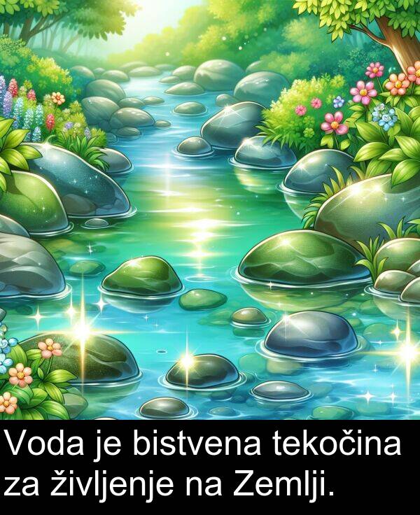 življenje: Voda je bistvena tekočina za življenje na Zemlji.