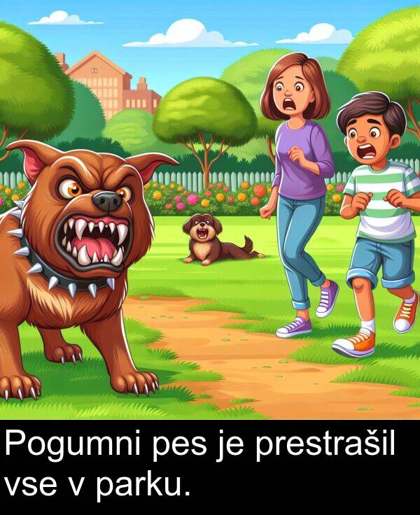 parku: Pogumni pes je prestrašil vse v parku.